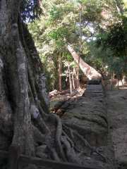 Vietnam_Cambodge_b-676