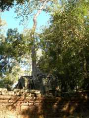 Vietnam_Cambodge_b-680