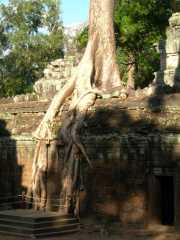 Vietnam_Cambodge_b-699