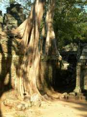 Vietnam_Cambodge_b-700