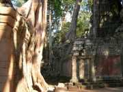 Vietnam_Cambodge_b-702