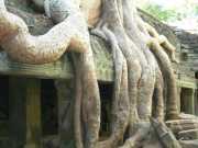 Vietnam_Cambodge_b-703