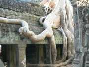 Vietnam_Cambodge_b-705