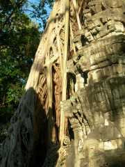 Vietnam_Cambodge_b-711