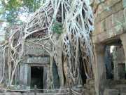 Vietnam_Cambodge_b-713