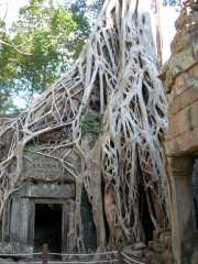 Vietnam_Cambodge_b-714