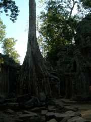 Vietnam_Cambodge_b-718