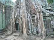 Vietnam_Cambodge_b-721