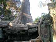 Vietnam_Cambodge_b-724