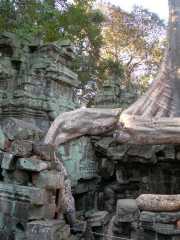 Vietnam_Cambodge_b-725