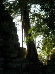 Vietnam_Cambodge_b-726