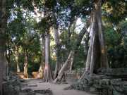 Vietnam_Cambodge_b-728
