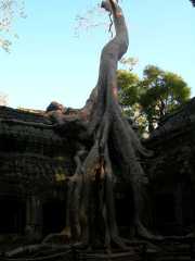 Vietnam_Cambodge_b-734