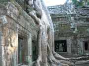 Vietnam_Cambodge_b-736