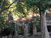 Vietnam_Cambodge_b-745
