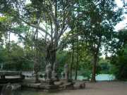 Vietnam_Cambodge_b-771